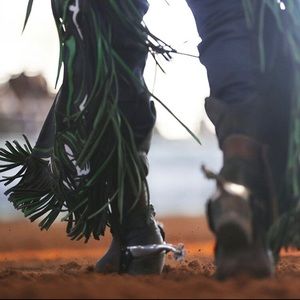 Meet your Posher, Wade